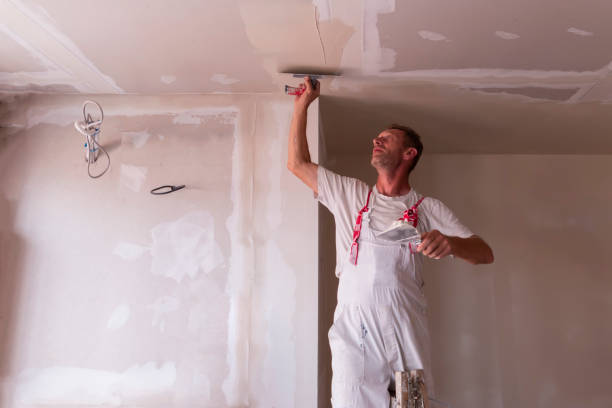 Best Acoustic or Soundproof Drywall Installation  in Ormond Beach, FL